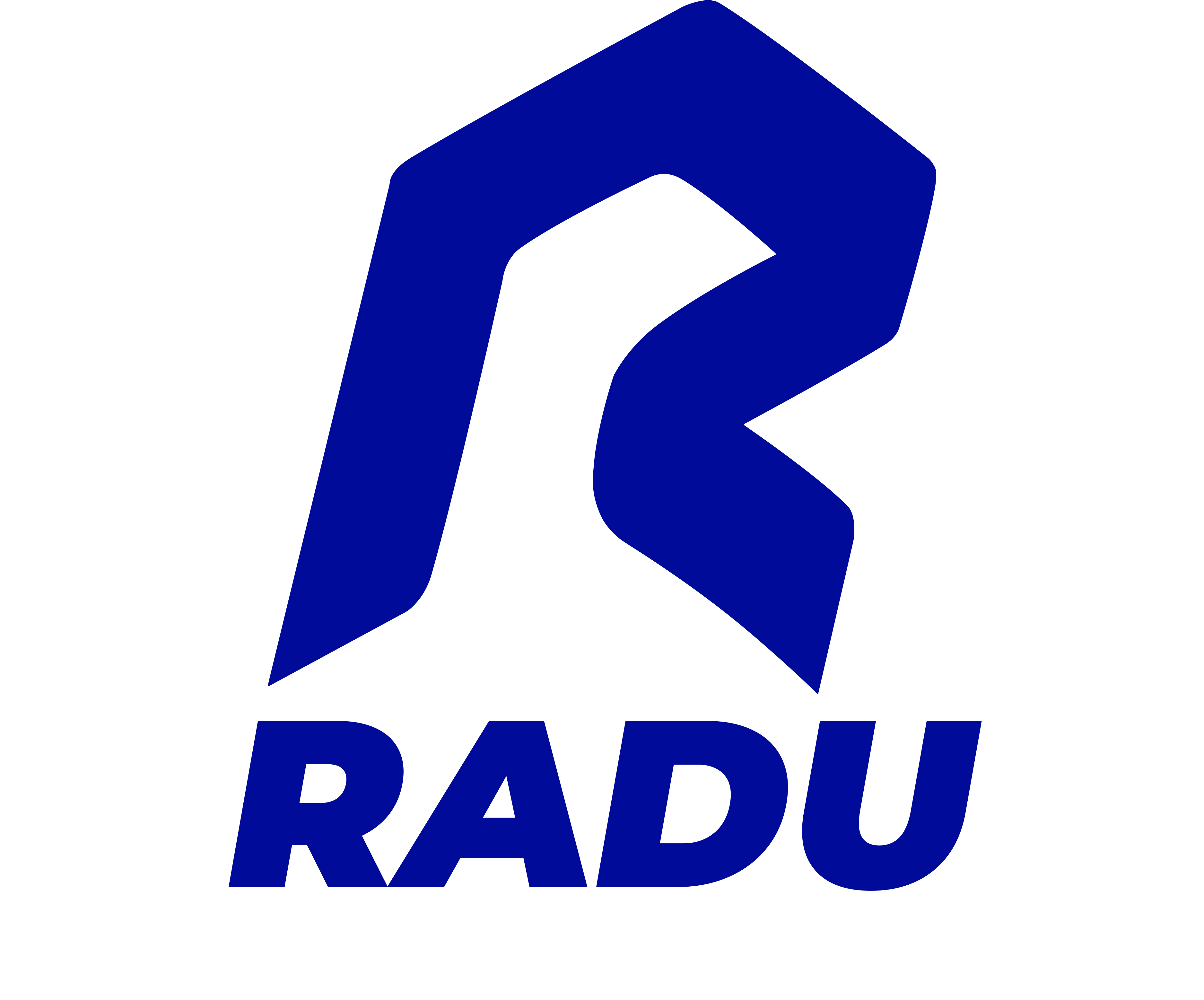 Logo Radu 2005