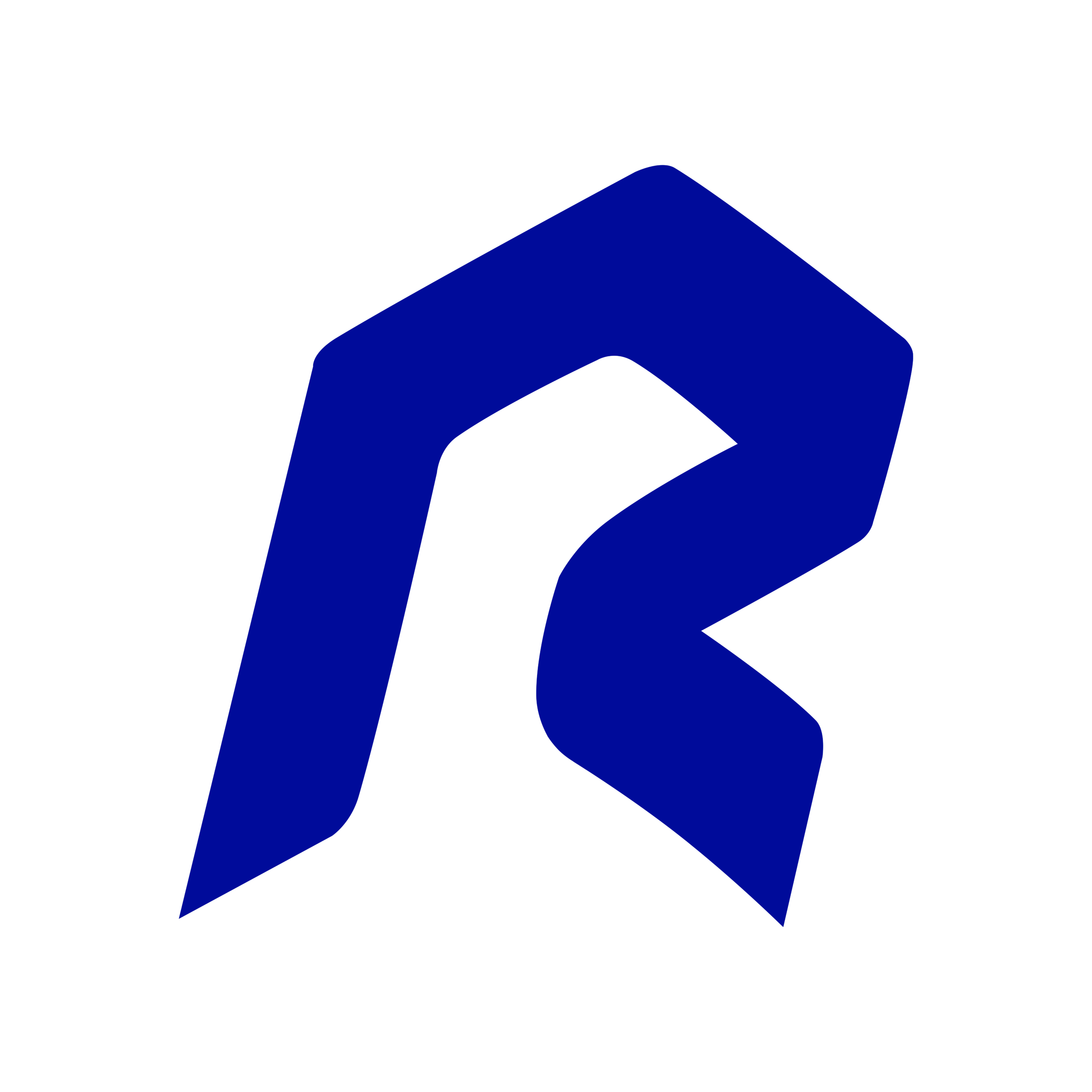 Radu 2005
